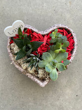 Load image into Gallery viewer, I &lt;3 U - succulent 7&quot;