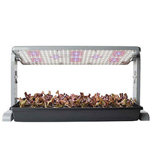 Load image into Gallery viewer, ROOT FARM LED Garden Light