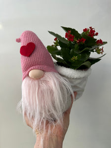 Amourette Gnome no. 2 avec plante 3.5"