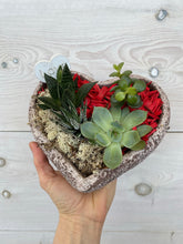 Load image into Gallery viewer, I &lt;3 U - succulent 7&quot;