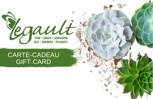 Carte-cadeau $400