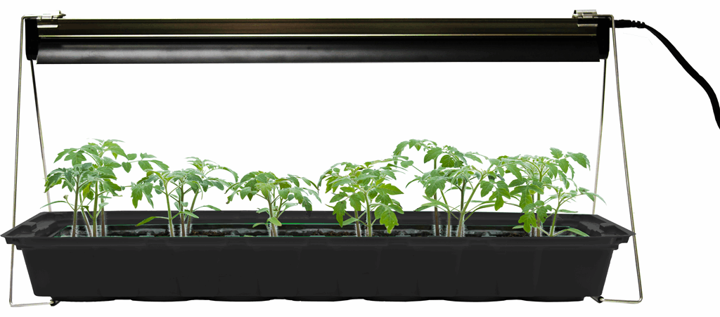 Jiffy hydro led grow light deals